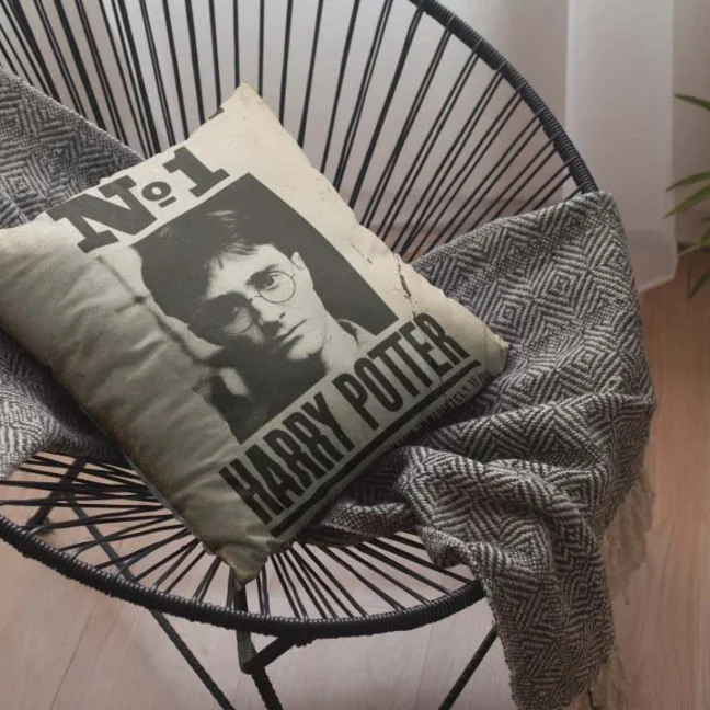 Harry Poter Printed Premium Tea Coaster Set Of 2